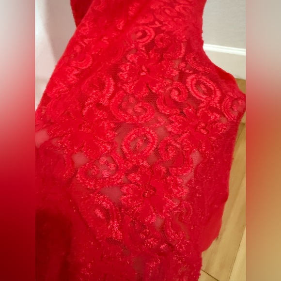 Vintage Shirley Red Floral Lace Floor Length Nightgown - Picture 10 of 15